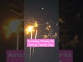 Amazing Fireworks During Family Day#trending#viral#shorts#video#fireworks#familydayfireworks#amazing