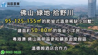 10.06佛山·綠地·拾野川  【灣區置業】  95 -55方的别墅自帶花園湖景別墅 50-80㎡吸金小洋房     溫德姆酒店合作方   最低别墅总价168万起   邊個戶型更啱你心意