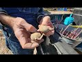 Planting Potatoes and Sweet Potatoes From LAST Years HARVEST