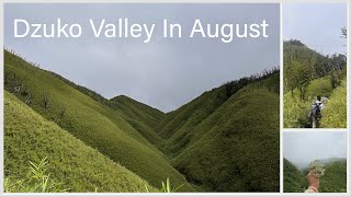 #vlog 4 DZUKO VALLEY|| TREK STARTS! IT’S MY FIRST TREKKING|| 💖🍀🍀🍀💖