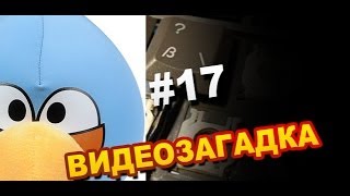 Видеозагадка #17 Что за птица?