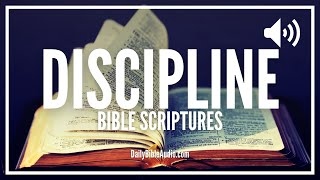 Bible Verses About Discipline | What Does The Bible Say About Discipline