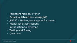 S1E Persistent Memory for Java