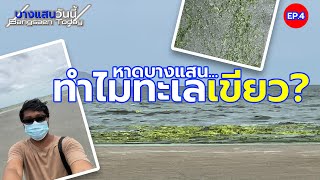 ทำไมทะเลเขียว? หาดบางแสน | บางแสนวันนี้ EP.4 |