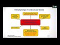 precision management of stable coronary artery disease