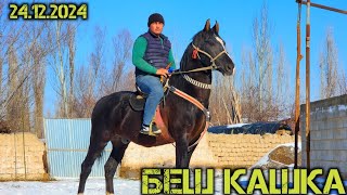 НУР ПОЛВОНДАН ОТНИГ КУЧЛИГИ БЕШ КАШКА СОТИЛАДИ  !..