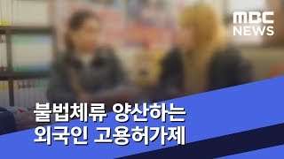 불법체류 양산하는 외국인 고용허가제 (2019.02.18/뉴스투데이/MBC)