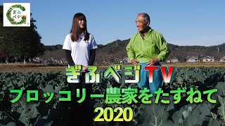 ブロッコリー農家をたずねて2020