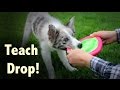 Teach your dog to DROP - Dog Training by Kikopup