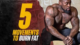 5 Exercises to Burn Body Fat | Full Workout! | Mike Rashid