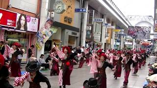 伊予からの風　純信連～2017高知よさこい祭り本祭(帯屋筋)