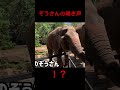 【大迫力】ぞうさんの鳴き声 elephant sounds shorts 動物園 癒し