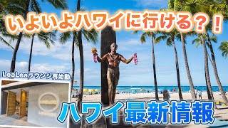 ハワイの今【ハワイ最新情報・渡航情報】日本の入国規制の緩和やセーフアクセスオアフ プログラムの終了、LeaLeaラウンジ再開など現在のワイキキの様子と共にお届けします！