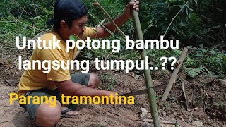 parang tramontina 14 inchi || tes potong bambu