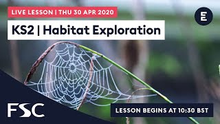 FIELDWORK LIVE - KS2 | Habitat Exploration