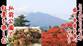 こう乃とりのメガ盛弁当を食べながら弘前公園で紅葉を楽しむ！弘前城天守閣の映像もあります！【青森県弘前市】