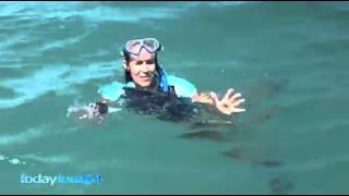 Jurien Bay Water Playground