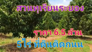 EP343.สวนทุเรียนระยอง 5 ไร่ ทุุเรียนหมอนทอง ที่ดินติดถนน อ.แกลง สนใจติดต่อ 0981473498,0887902134