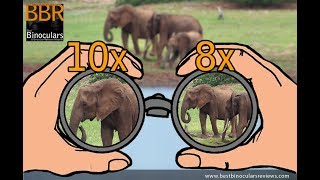 Best Wide Field of View 10x42 Binoculars