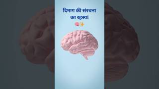 Mystery of the Human Brain! | Secrets of the Brain Explained | How Does the Brain Work?