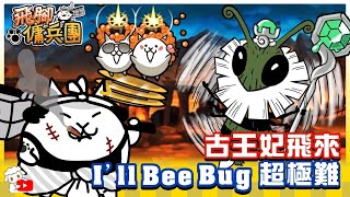 Battle Cats - The Old Queen I'll Be Bug (Merciless)🔥 Using Courier Cat にゃんこ大戦争 貓咪大戰爭