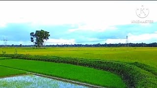 হরিশপুর গ্রাম // harishpur Garden // Ghatal news