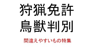 【狩猟免許】鳥獣判別テスト練習問題　間違えやすいものだけ集めてみた。#狩猟免許 ＃鳥獣判別　＃練習問題