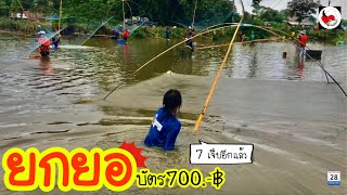 ยกยอ บ่อเหมาอีกแล้ว ►Fishing lifestyle Ep.427