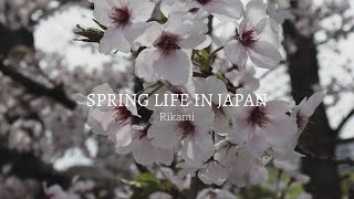 Spring Vlog in Japan, Life in Japan Lately, Osaka Aquarium and Cherry Blossom Viewing