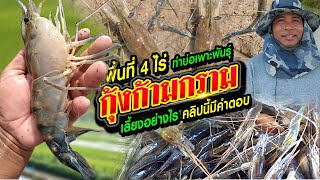 พื้นที่ 4 ไร่ เพาะพันธุ์ กุ้งก้ามกราม เลี้ยงอย่างไร คลิปนี้มีคำตอบ