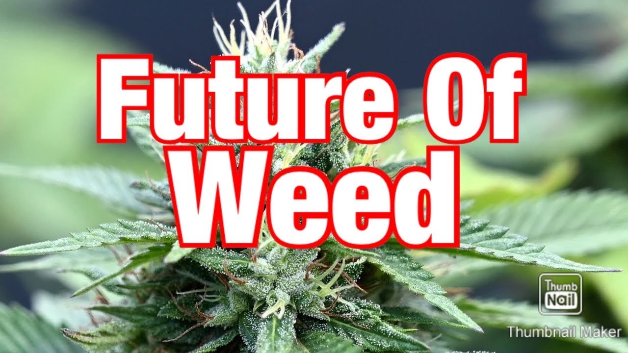 The Future Of Cannabis - YouTube