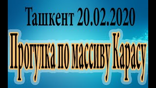 Ташкент(Tashkent).20.02.2020 года, Прогулка по массиву Карасу.