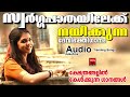 ആഗ്രഹങ്ങൾ സഹലമാക്കുന്ന ഹിന്ദു ഭക്തിഗാനം devi devotional songs hindu devotional songs