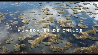 LOS HUMEDALES DE CHILOE