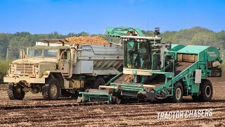 Onion Harvesting Machines