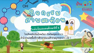 กิจกรรมบ้านนักวิทยาศาสตร์น้อย เรื่อง “ภาพสะท้อน” ระดับชั้นประถมศึกษาปีที่ 2 🧪👩🏻‍🔬🔍🪞