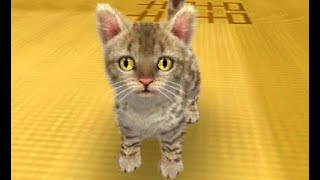 nintendogs + cats: French Bulldog \u0026 New Friends Playthrough Part 8