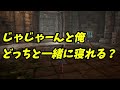 【bless unleashed】頭皮の話しながらダンジョン周回するんじゃない【id周回】