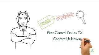 Pest Control Dallas Texas Exterminators