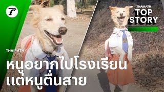 หนูอยากไปโรงเรียน หมาน้อยตื่นสาย รีบวิ่งตามพ่อ อยากเป็นนักเรียนอนุบาล | Top Story