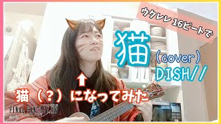 【女性キーで】猫 / DISH//（Cover）【ウクレレ弾き語り】（歌詞付き）