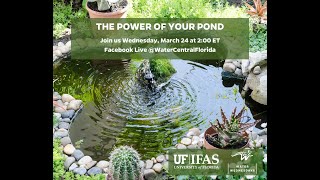 Water Wednesday - The Power of Your Pond