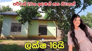 ලක්ෂ 16ට නිවසක් සහ ඉඩමක් විකිණීමට #forsalehouse #house