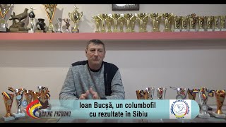 Ioan Bucsa, un columbofil cu rezultate în Sibiu