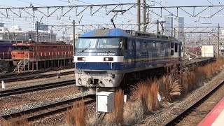 2022/02/26 貨物列車群 \u0026 EF67 105 広島貨物ターミナル駅 | JR Freight: Cargo Trains at Hiroshima Kamotsu Terminal