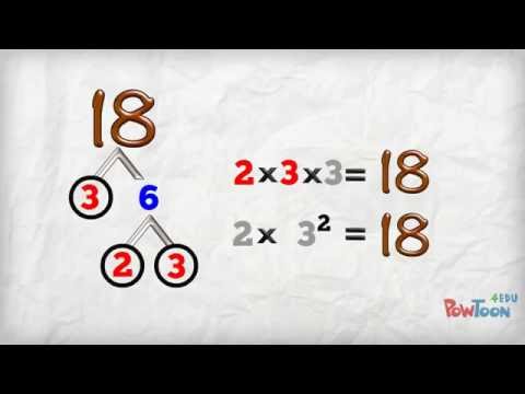 What does a factor tree show?