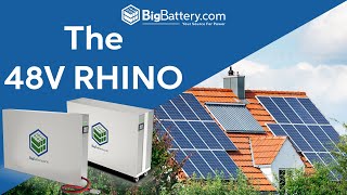 BigBattery's Competition Killer || 48V RHINO