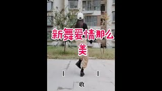 广场舞：32步弹跳《爱情那么美》