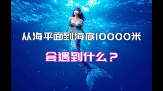 深海里有美人鱼吗？从海平面到海底10000米会遇到什么？