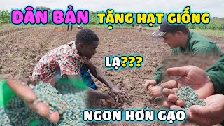 Quanglinhvlogs || Hạt Giống Lạ Ngon Hơn Gạo ??? Người Dân Bản Bất Ngờ Tặng Hạt Giống Cho QL Farm.